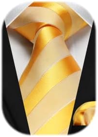 HISDERN Men's Tie and Pocket Square Set Striped Polka Dot Silk Ties for Men Formal Classic Elegant Necktie & Handkerchief for Business Wedding Party
