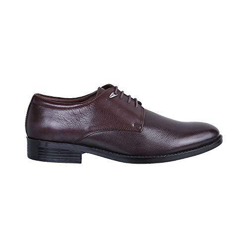 Image of Metro Men Leather Flat Shoes (19-5537)