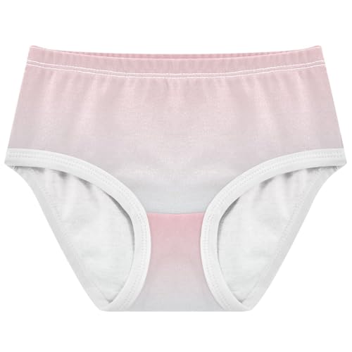 Joisal Girls Underwear Toddler 2t Cotton Panties Little Girl Pattern Underpants Briefs Blush Pink Cyan Gradient