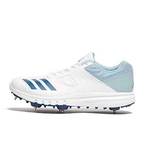 cricket trainer spiking