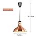 KOUDA Hanging Commercial Food Warmer Lights Telescopic Heating Lamps For Buffet Kitchen Restaurant (Bronze, Dia.29cm, Adjustable Height.60-150cm)