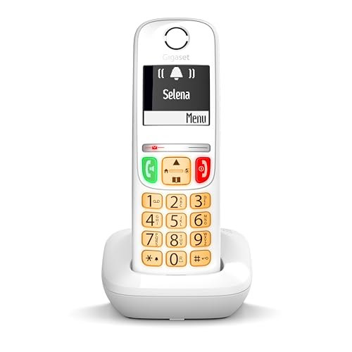 Gigaset E270 White grand écran et son amplifié pour senior