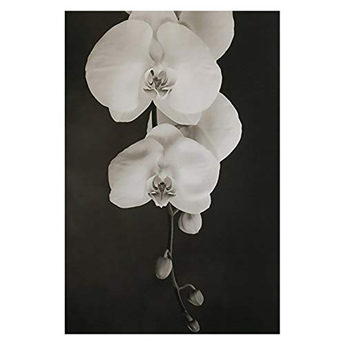 Toile peinture pour chambre moderne triptyque de fleurs imprimées noir et blanc