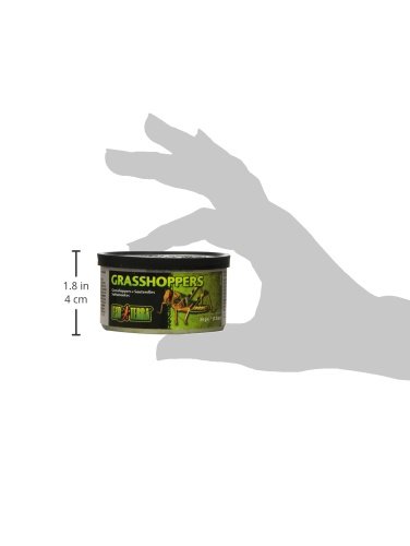 Exo Terra Specialty Alimento para Reptiles miniatura 2