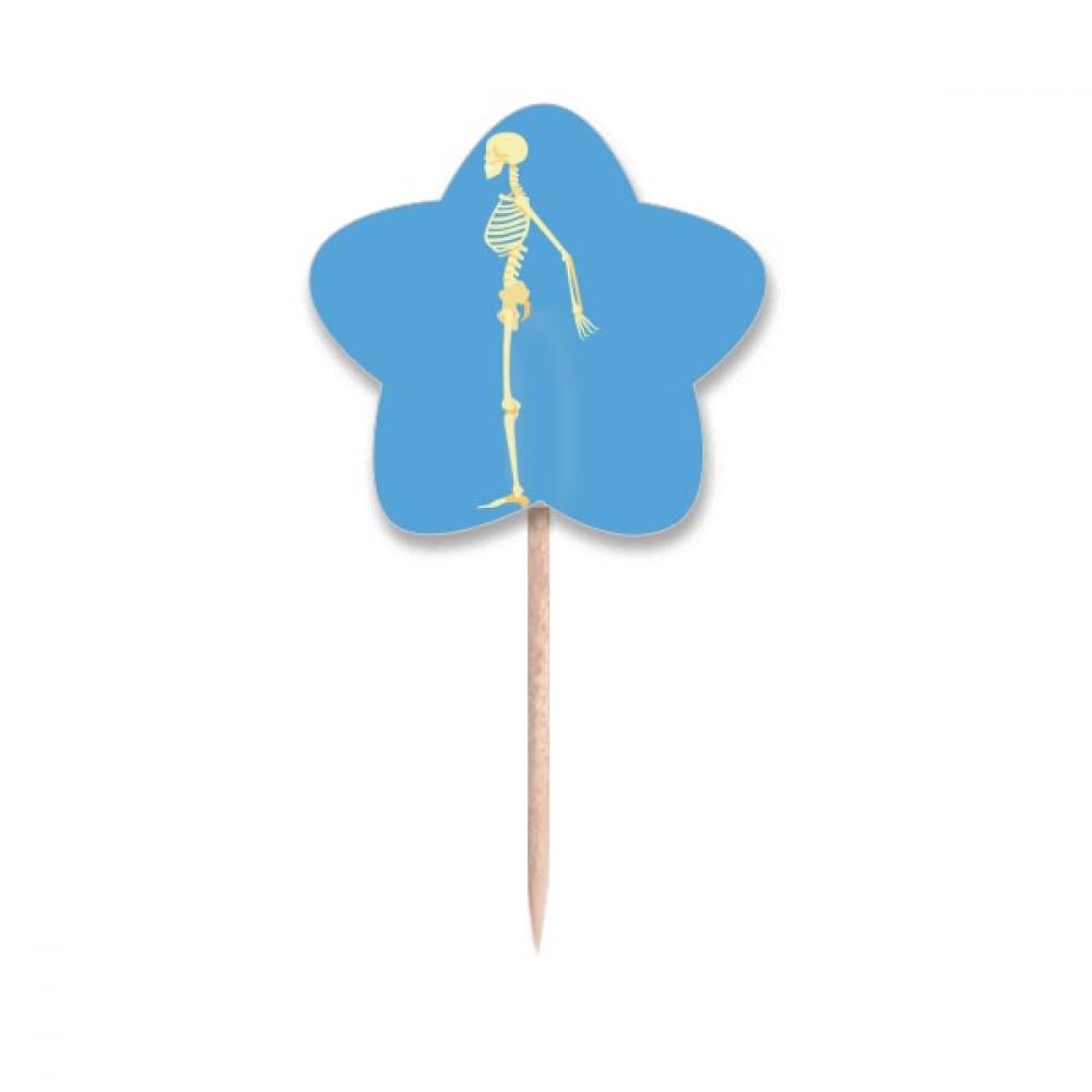 Cure-dents drapeaux étoile cupcake picks décoration buffet cocktail Human Side B