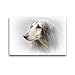Produktbild CALVENDO Premium Textil-Leinwand 45 x 30 cm Quer-Format Afghane (Afghanischer Windhund), Leinwanddruck von Andrea Redecker