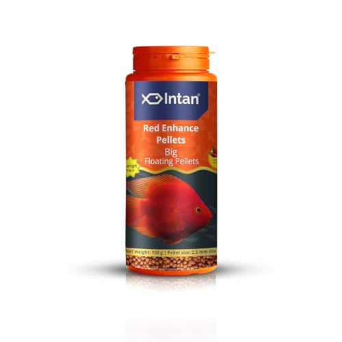 Image of Intan Red Enhance Pellets (Big 2.5mm Floating) | 150gm - Highly Nutritious Ornamental Fish Food for Parrotfish & Red Coloured Fish | Growel Feeds
