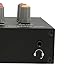 7-Band-Sound-Equalizer, 7-Band-Car-Audio-Equalizer, -Ausgang, Eingang, 12 DB, Hohe Basseinstellung, Zweikanaliger Digitaler Equalizer, Subwoofer-Audiosysteme