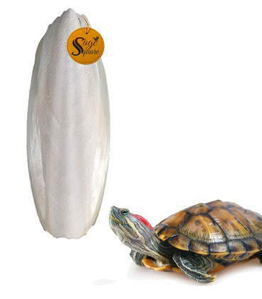 Sage Square Natural High Calcium Source Cuttlebone Fish for Turtle (400grm)