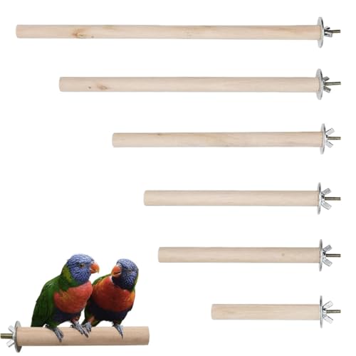 6 Pièces Perchoir Perroquet en Bois,Jouet Branches, Perchoir à Oiseaux en Bois pour Perroquet, pour Cages à Oiseaux pour Calopsittes, Conures