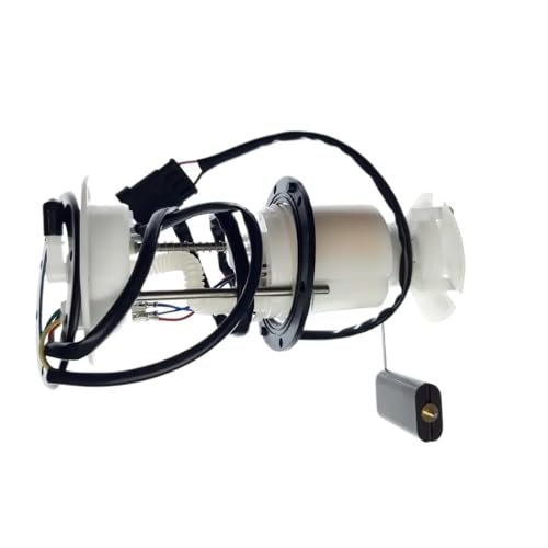 Bomba para Linhai 300 ATV UTV compatible con repuestos 27833 y 27845