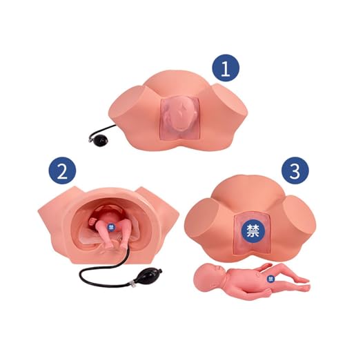 Dystocia Midwifery Training Model AMITD pour surmonter les difficultés d'accouchement - 4
