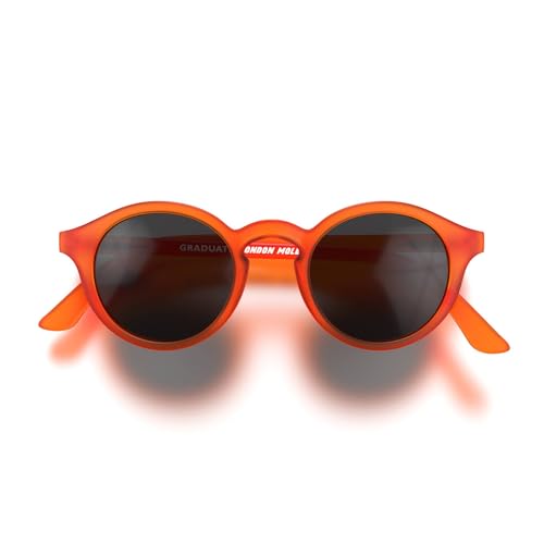Image of LONDON MOLE Graduate sunglasses | Cool round panto shaped glasses | Men's Women's Unisex | Spring hinges