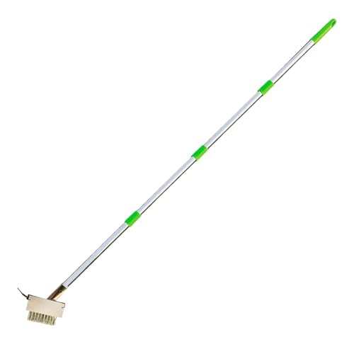 Outil de dissolvant de coulis en mousse brosse de désherbage pour joint pavé