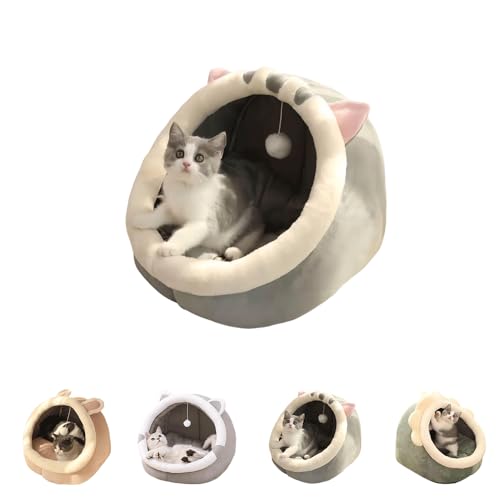 LIVIAL nEX h[^ ybgLQ^ LbgnEX ʋCybg nEX ɒʗp sN (킢ueBbVV[gwA)