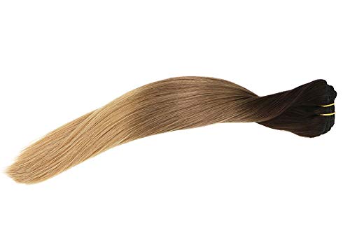 Clip In Human Hair Extensions Double Weft Brazilian Hair 120g 7pcs Dark Brown Fading to Chestnut Brown and Ash Brown Highlighted Full Head Silky Straight 100% Human Hair Clip In Extensions 22 Inch