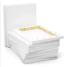Kit telas para pintura 20 x 30 Tecido em Algodão (4)