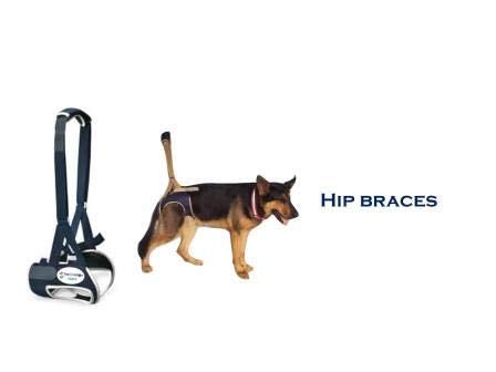 german shepherd hip brace
