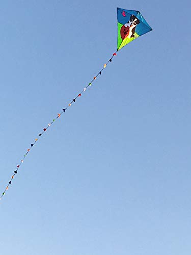 ZHUOYUE Single Line Diamond Kite for Kids, 31 Inch Easy to Fly Kites with Long Tail and Kite String