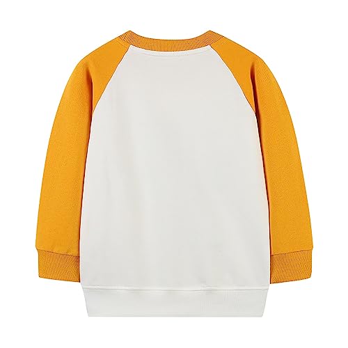 Toddler Autumn Tops Boys 2024 Skateboarding Dinosaur Print Casual Pullover Round Neck Long Sleeve Sweatshirt3