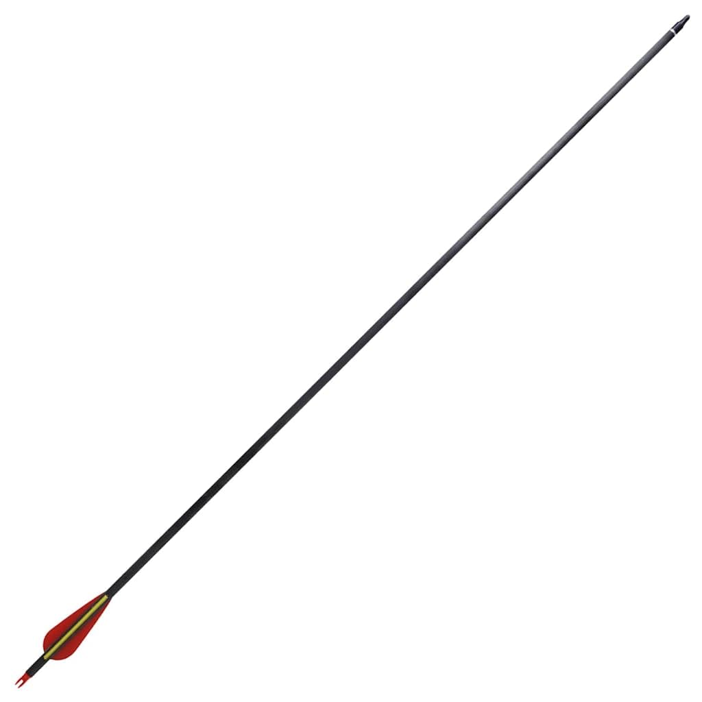 12 STK. Carbonpfeile 30 Zoll für Recurvebogen, robuster Pfeilschaft 0,76 cm Durchmesser, max. 40 lb Zuggewicht