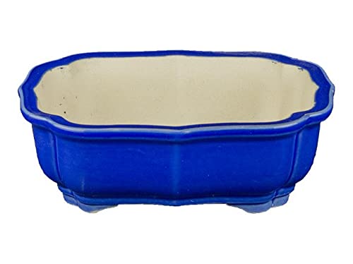 Maceta bonsai ovalada de gres esmaltado azul 14x9,5x4,5 cm - A49