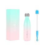 IRON °FLASK Retro Sports Water Bottle - 17 Oz, Vacuum Insulated Stainless Steel, Hot Cold, Double Walled, Thermo Mug, Cola Metal Canteen