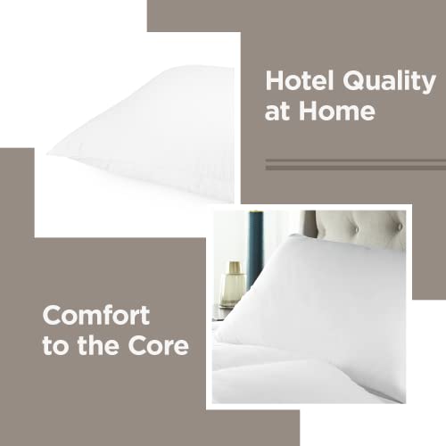 Luxury White Goose Down Chamber Pillow - Hypoallergenic - Popular Hotel Pillow - Queen 20 x 30