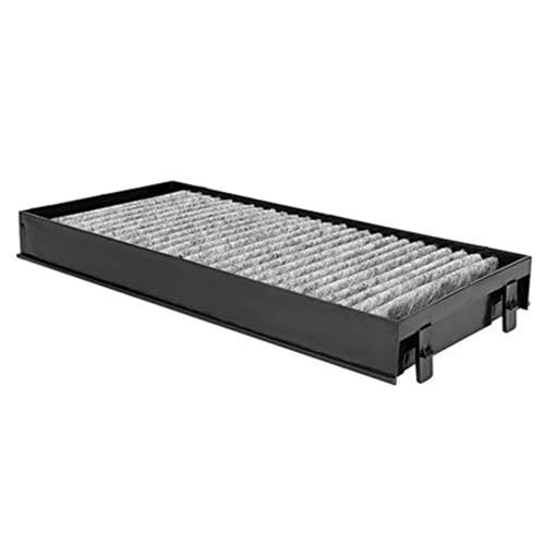 Filtro de habitáculo para BMW X5 E70 contra el polen molesto 5