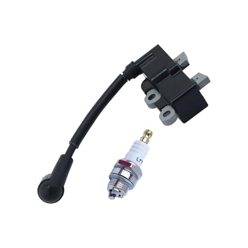 Bobine d'allumage pour reparer le demarrage RY251PH 25cc - 3