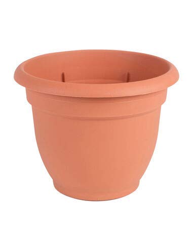 Bloem 20 in. Dia. Resin Ariana Terracotta Clay Planter