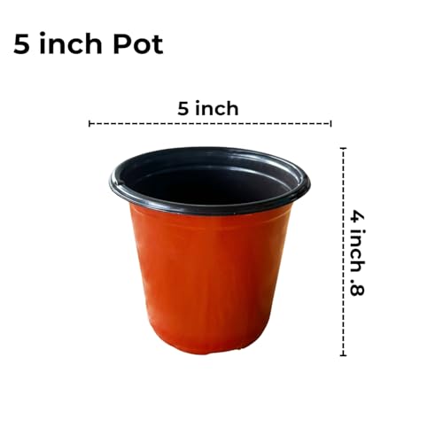 Image of Thermoformed Plastic Flower Pots, Durable, Flexible, Unbreakable, Multiple Drainage Holes, Best for Indoor Plants, Terrace Garden, Nursery (Pack of 20, 5 Inch)