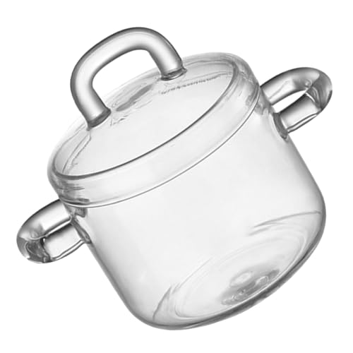 TOYANDONA Olla de Vidrio Transparente 350 Ml con Tapa, Resistente al Calor, para Cocinar en Estufas Pequeñas Aire Libre, Adecuado para Sopas, Guisos y Pasta, Fácil de Limpiar