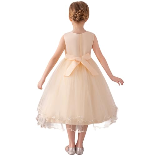 Flower Girl Dress,Toddler Formal Dress Birthday Party Wedding Floral Embroidered Tulle Satin Dresses for Kids Age 2-12