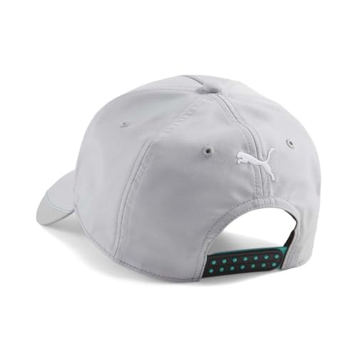 PUMA Mercedes AMG Petronas F1 Hat Silver