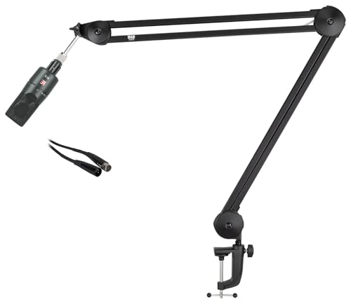 Audiosavings Bundle: Se Electronics X1 S Large Recording Condenser Microphone+Clip Bundle with 512-BBA 31