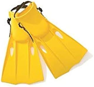 Amazon.com: Intex Recreation Corp