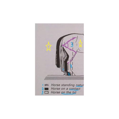 r/t podcast #0011 PAUL