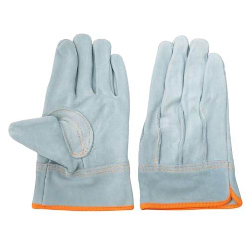 [ACE] Ǝ O[ v  MTCY AG4817 