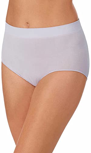 Image of Carole Hochman Women's Underwear Silky Soft Seamless Full Coverage Modern Brief Panties 5 Pack Multipack Regular & Plus Sizes