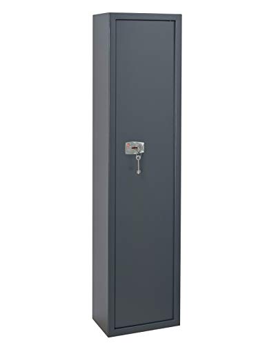 THIRARD - Armoire à Fusils Brissac - Sécurisée - Acier - Capacité 5 Fusils - Fermeture Par Clé - Verrouillage 4 Pênes de Ø18 mm - 1250 x 310 x 200 mm - Gris