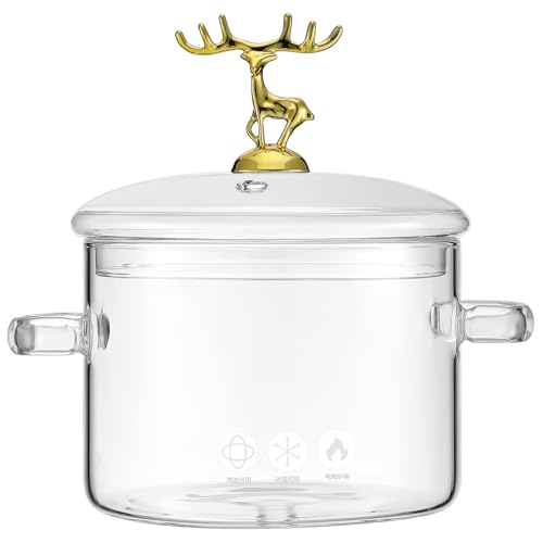 ANDRESLAD Olla de Vidrio Borosilicato con Tapa para Cocina Doméstica Resistente al Calor para Sopa Fideos y Estofados con Doble Asa Ergonómica