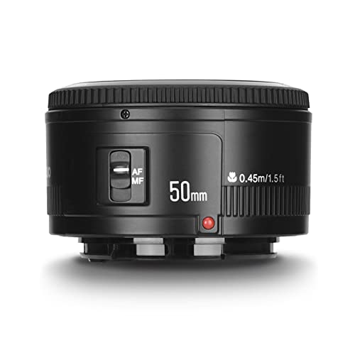 Yongnuo_ YN50 mm F1.8 Lens Large Aperture Auto Focus Lens for Canon EF Mount EOS Cameras - Image 8