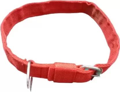 Kapoor pets Dog Adjustable Nylon Collar for Medium Dogs, Quick Release and Breathable Collar for Puppies Size 1 inch (B0B1X4CD53) Amazon Price History, Amazon Price Tracker