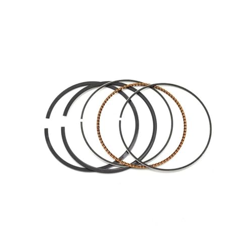 Segments de piston 49,25 mm compatibles avec GSX250R GSF250 GJ72A 250