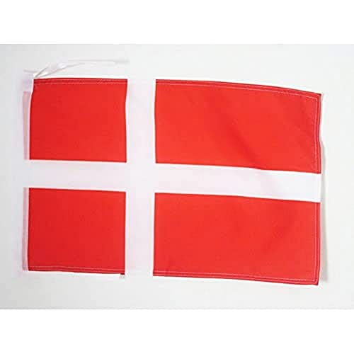 AZ FLAG - Flagge Dänemark - 45x30 cm Mit Kordel - Dänische Fahne 30 x 45 Cm - Flaggen
