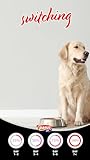 Pure - Hypoallergenes Hundefutter - Ohne Huhn/Weizen - Kleine Rassen - Lachsgeschmack - 3kg