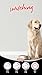 Pure - Hypoallergenes Hundefutter - Ohne Huhn/Weizen - Kleine Rassen - Lachsgeschmack - 3kg