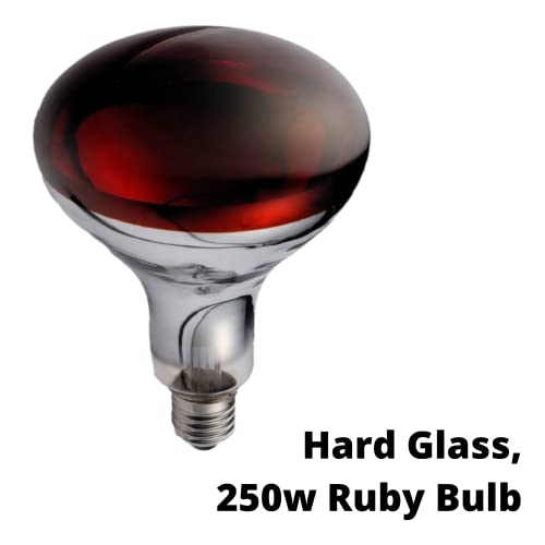 Infrared Heat Lamp Bulb, Ruby 250w. for Infra Red Heat Lamps for Poultry, Chicks, Dogs, Puppies, Cats, Kittens, Pigs, Reptiles and Other Animals.