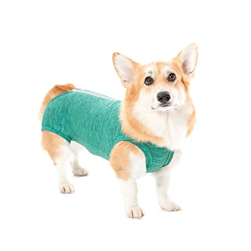 Roupa Cirúrgica Pet Med Duo Dry Regular Verde para Cães Tamanho 00